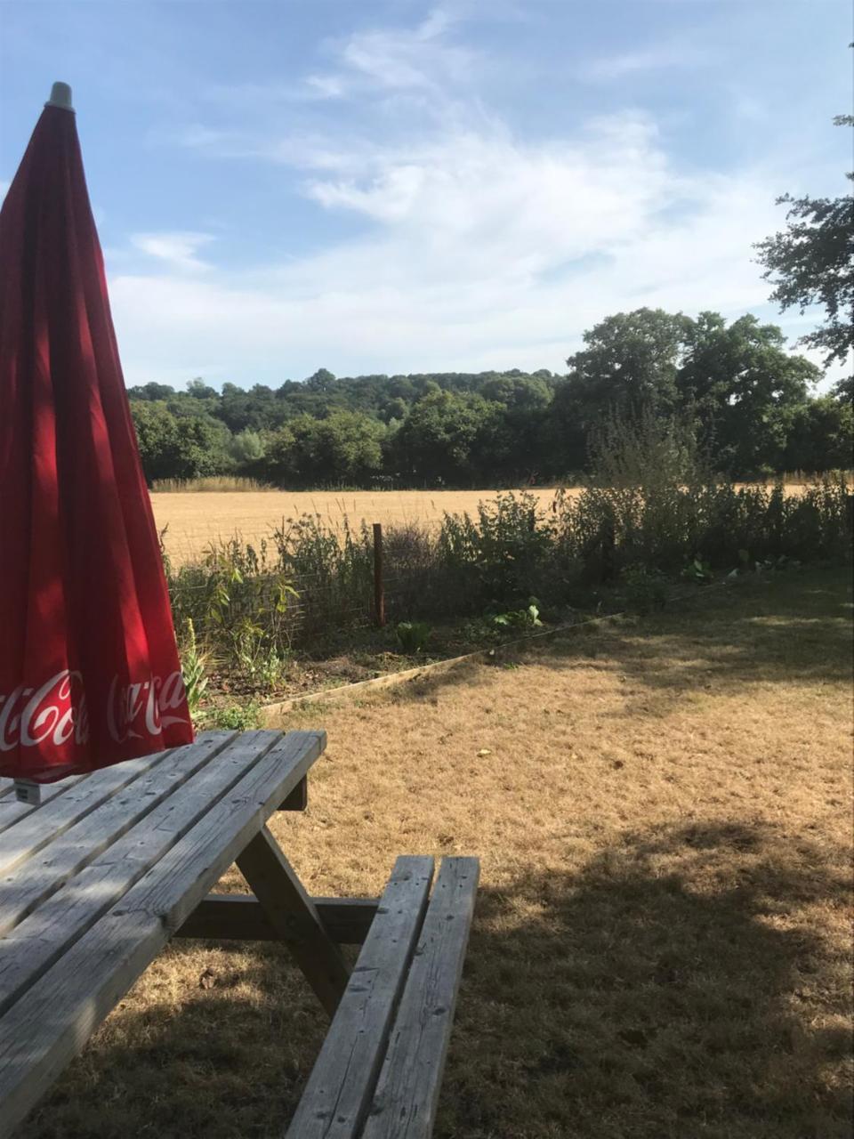 The Penruddocke Arms Bed & Breakfast Dinton  ภายนอก รูปภาพ